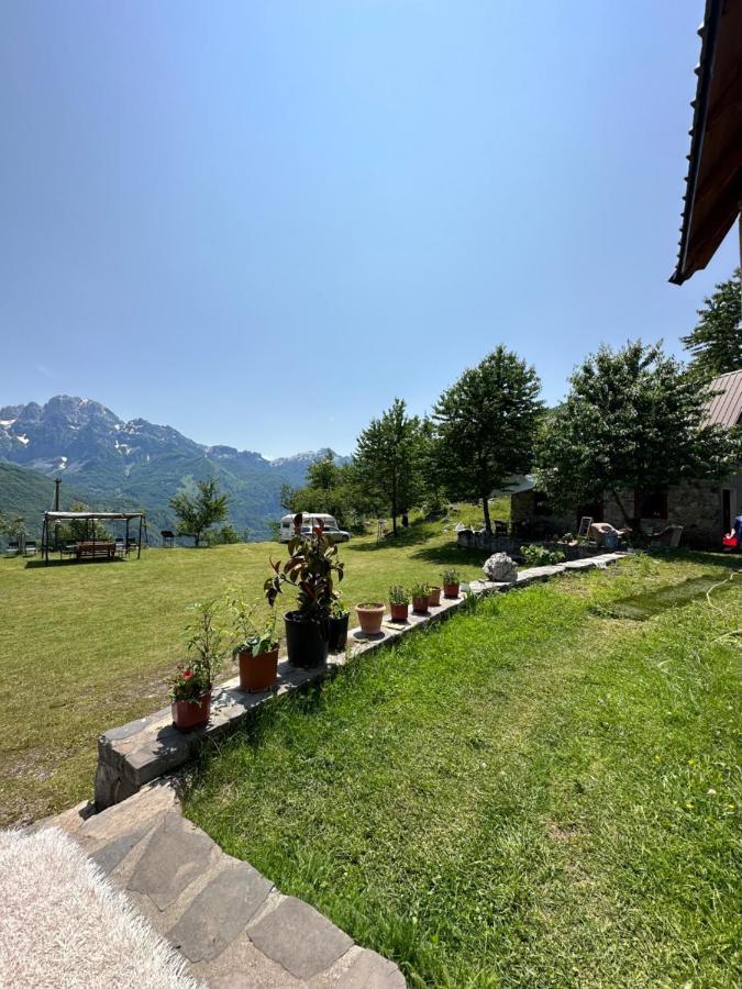 Guesthouse Freskia เธทธ์ ภายนอก รูปภาพ